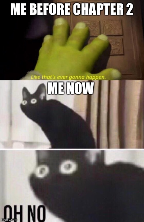 ME BEFORE CHAPTER 2 ME NOW | image tagged in like that's ever gonna happen,oh no cat | made w/ Imgflip meme maker