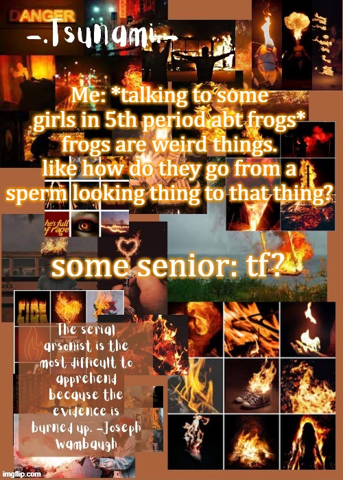 we all started laughing after bc they took it outta context | Me: *talking to some girls in 5th period abt frogs* frogs are weird things. like how do they go from a sperm looking thing to that thing? some senior: tf? | image tagged in arson | made w/ Imgflip meme maker