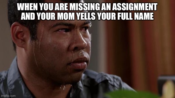 sweating bullets | WHEN YOU ARE MISSING AN ASSIGNMENT AND YOUR MOM YELLS YOUR FULL NAME | image tagged in sweating bullets | made w/ Imgflip meme maker