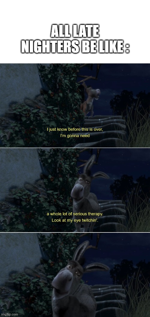 You're not a late nighter if you never experienced this at some point | ALL LATE NIGHTERS BE LIKE : | image tagged in donkey,shrek,funny,memes | made w/ Imgflip meme maker
