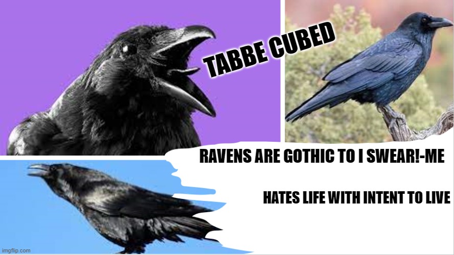 *hates life with intent to live* | HATES LIFE WITH INTENT TO LIVE | image tagged in my raven temp ha | made w/ Imgflip meme maker