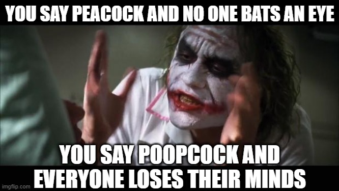 dirty meme | YOU SAY PEACOCK AND NO ONE BATS AN EYE; YOU SAY POOPCOCK AND EVERYONE LOSES THEIR MINDS | image tagged in memes,and everybody loses their minds,funny | made w/ Imgflip meme maker