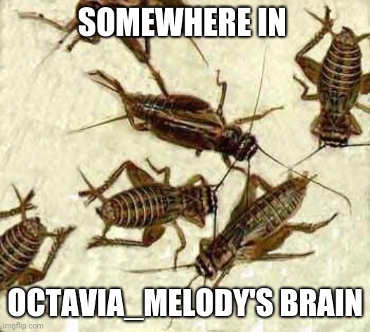 Crickets | SOMEWHERE IN OCTAVIA_MELODY'S BRAIN | image tagged in crickets | made w/ Imgflip meme maker