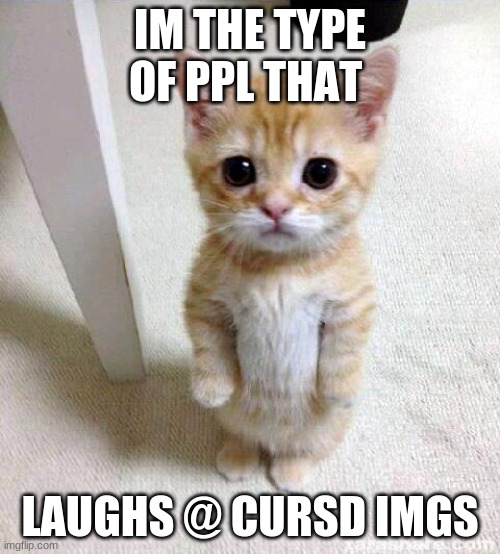Cute Cat Meme | IM THE TYPE OF PPL THAT; LAUGHS @ CURSD IMGS | image tagged in memes,cute cat | made w/ Imgflip meme maker