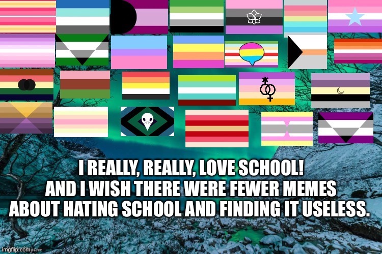 Pls don’t hate me |  I REALLY, REALLY, LOVE SCHOOL! AND I WISH THERE WERE FEWER MEMES ABOUT HATING SCHOOL AND FINDING IT USELESS. | image tagged in northern lights announcement | made w/ Imgflip meme maker