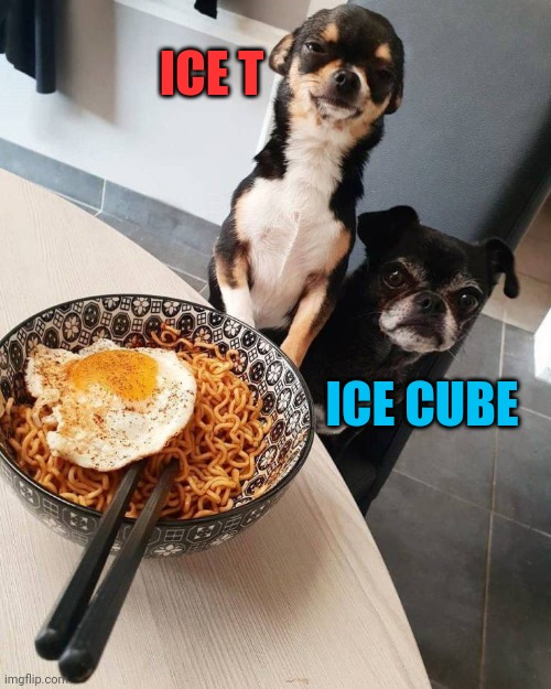 Straight outta Purina | ICE T; ICE CUBE | image tagged in canine gangstas | made w/ Imgflip meme maker