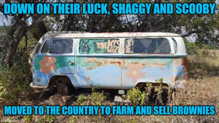 Fred's a drunk, Daphne got fat and Velma sells Amway | DOWN ON THEIR LUCK, SHAGGY AND SCOOBY; MOVED TO THE COUNTRY TO FARM AND SELL BROWNIES | image tagged in when toons grow up | made w/ Imgflip meme maker
