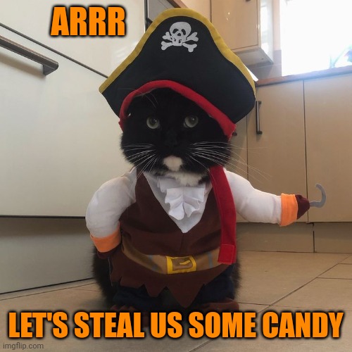 PIRATE CAT | ARRR; LET'S STEAL US SOME CANDY | image tagged in cats,funny cats,pirate,spooktober,halloween | made w/ Imgflip meme maker