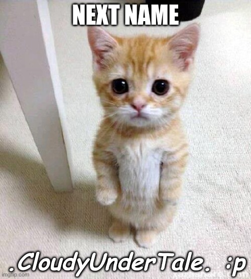 :| i have zero ideas | NEXT NAME; .CloudyUnderTale. :p | image tagged in memes,cute cat | made w/ Imgflip meme maker