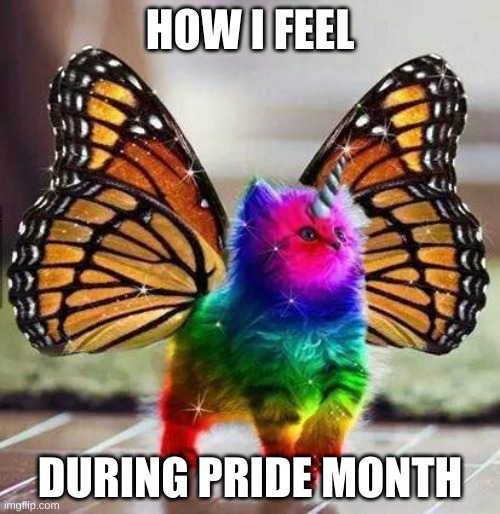 June is the best! | HOW I FEEL; DURING PRIDE MONTH | image tagged in rainbow unicorn butterfly kitten | made w/ Imgflip meme maker
