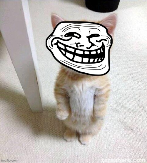 Cute Cat Meme | image tagged in memes,cute cat | made w/ Imgflip meme maker