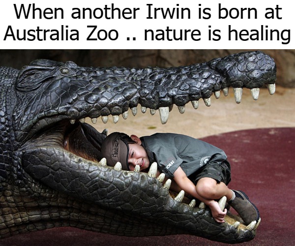 When another Irwin is born at Australia Zoo .. nature is healing | image tagged in bindi | made w/ Imgflip meme maker