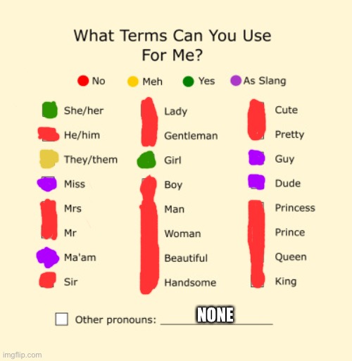 My pronouns sheet! (don’t misuse these on purpose or you will be reported) | NONE | image tagged in pronouns sheet,pronouns | made w/ Imgflip meme maker