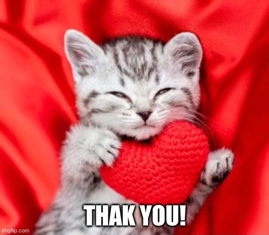 THAK YOU! | made w/ Imgflip meme maker