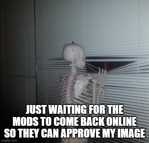 sigh | JUST WAITING FOR THE MODS TO COME BACK ONLINE SO THEY CAN APPROVE MY IMAGE | image tagged in me waiting for my sister to pay me back | made w/ Imgflip meme maker