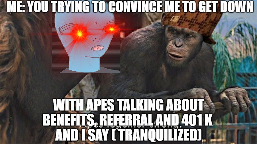 we can stand strong together | ME: YOU TRYING TO CONVINCE ME TO GET DOWN; WITH APES TALKING ABOUT BENEFITS, REFERRAL AND 401 K 
AND I SAY ( TRANQUILIZED) | image tagged in ape together strong,apes | made w/ Imgflip meme maker