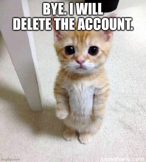 Cute Cat Meme | BYE. I WILL DELETE THE ACCOUNT. | image tagged in memes,cute cat | made w/ Imgflip meme maker