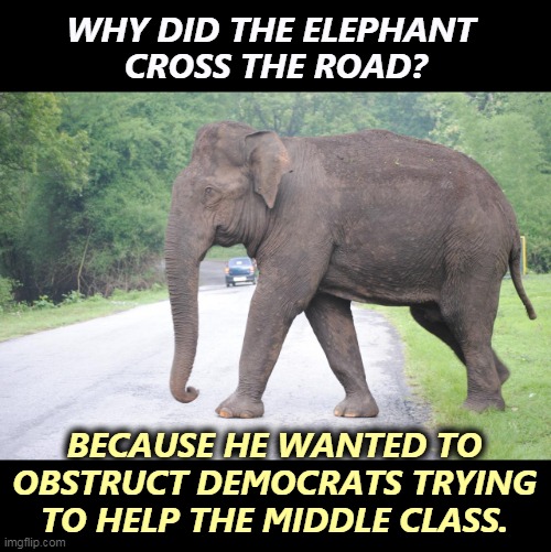 WHY DID THE ELEPHANT 
CROSS THE ROAD? BECAUSE HE WANTED TO OBSTRUCT DEMOCRATS TRYING TO HELP THE MIDDLE CLASS. | image tagged in republican,elephant,block,road | made w/ Imgflip meme maker
