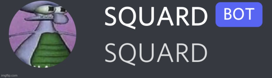 SQUARD | image tagged in squard | made w/ Imgflip meme maker