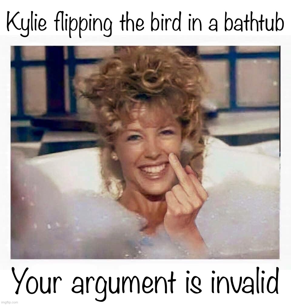 Kylie middle finger | Kylie flipping the bird in a bathtub; Your argument is invalid | image tagged in kylie middle finger | made w/ Imgflip meme maker