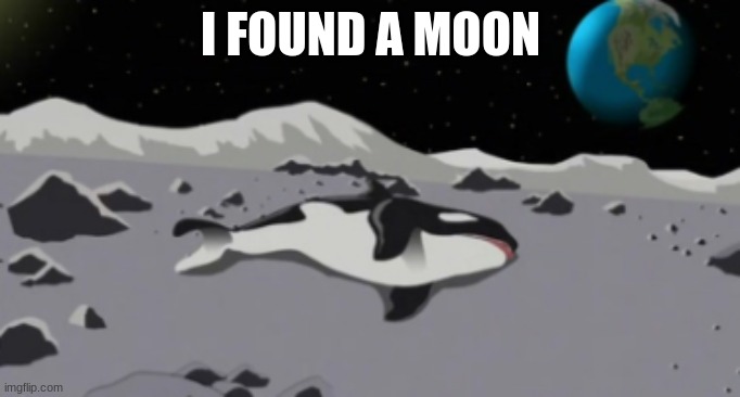 dead orca | I FOUND A MOON | image tagged in dead orca | made w/ Imgflip meme maker