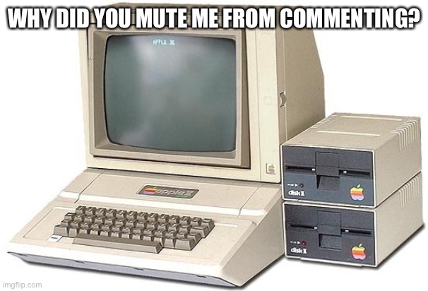 Mods. Explain what did I do. | WHY DID YOU MUTE ME FROM COMMENTING? | image tagged in old computer | made w/ Imgflip meme maker