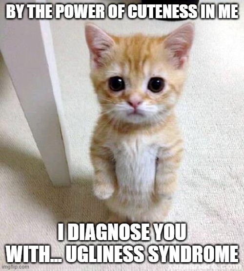 Cute Cat Meme | BY THE POWER OF CUTENESS IN ME; I DIAGNOSE YOU WITH... UGLINESS SYNDROME | image tagged in memes,cute cat | made w/ Imgflip meme maker