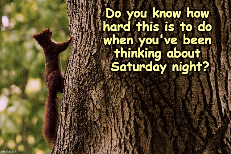 A Lesson from Nature |  Do you know how 
hard this is to do 
when you've been 
thinking about 
Saturday night? | image tagged in squirrel,tree,happy,thoughts | made w/ Imgflip meme maker