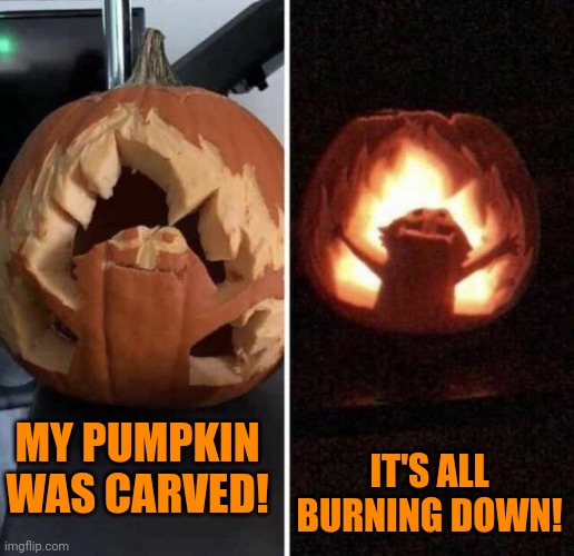 SORRY ELMO | IT'S ALL BURNING DOWN! MY PUMPKIN WAS CARVED! | image tagged in elmo,pumpkin,jack-o-lanterns,spooktober,halloween | made w/ Imgflip meme maker