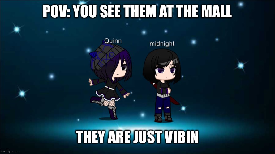 POV: YOU SEE THEM AT THE MALL; THEY ARE JUST VIBIN | image tagged in quinn and midnight | made w/ Imgflip meme maker