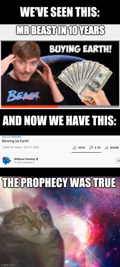 THE PROPHECY WAS TRUE | WE'VE SEEN THIS:; AND NOW WE HAVE THIS:; THE PROPHECY WAS TRUE | image tagged in the prophecy is true cat | made w/ Imgflip meme maker