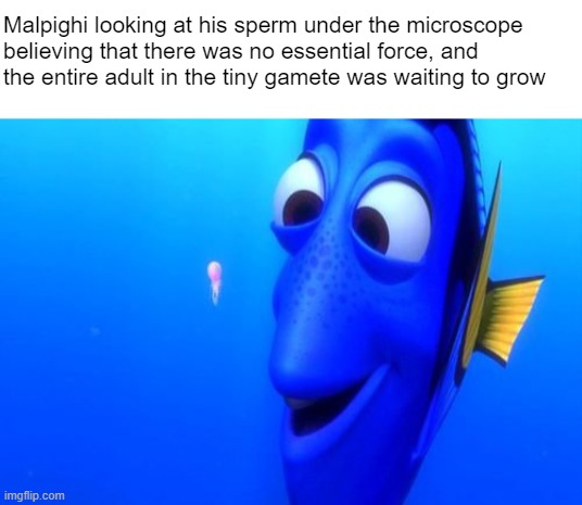 Malpighi looking at his sperm under the microscope 
believing that there was no essential force, and 
the entire adult in the tiny gamete was waiting to grow | image tagged in dory squishy | made w/ Imgflip meme maker
