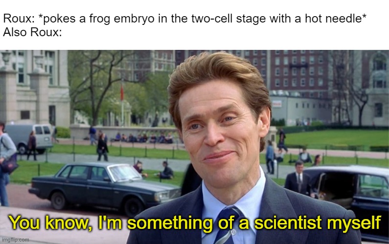 Roux: *pokes a frog embryo in the two-cell stage with a hot needle*
Also Roux:; You know, I'm something of a scientist myself | image tagged in you know i'm something of a scientist myself | made w/ Imgflip meme maker