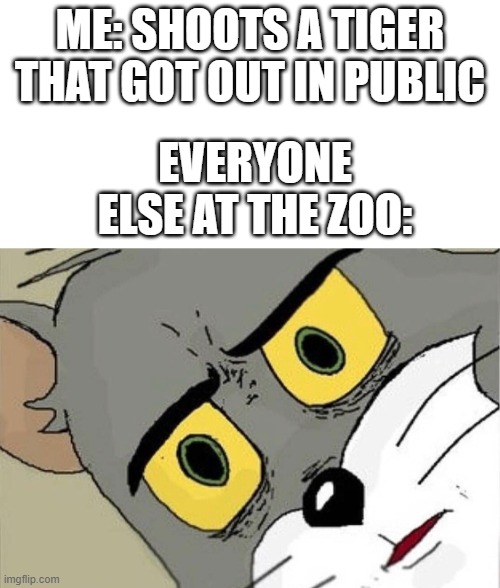 zoo |  ME: SHOOTS A TIGER THAT GOT OUT IN PUBLIC; EVERYONE ELSE AT THE ZOO: | image tagged in unsettled tom,memes,funny,zoo,tiger,stop reading the tags | made w/ Imgflip meme maker