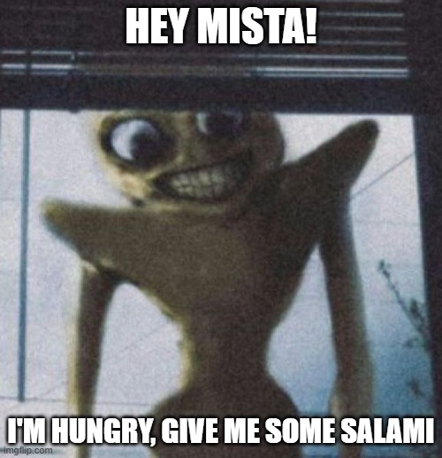 MISTAAA | HEY MISTA! I'M HUNGRY, GIVE ME SOME SALAMI | image tagged in jojo's bizarre adventure,cursed image | made w/ Imgflip meme maker