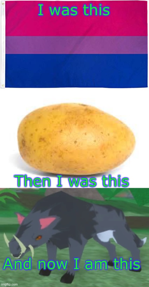 Sexual identification | I was this; Then I was this; And now I am this | image tagged in bisexual flag,potato | made w/ Imgflip meme maker