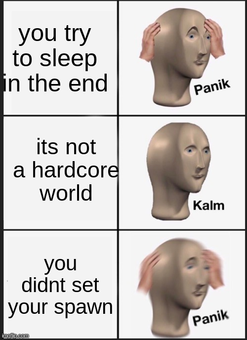 god dang it | you try to sleep in the end; its not a hardcore world; you didnt set your spawn | image tagged in memes,panik kalm panik | made w/ Imgflip meme maker