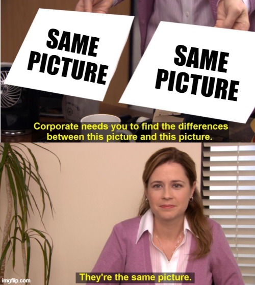 They're The Same Picture Meme | SAME PICTURE; SAME PICTURE | image tagged in memes,they're the same picture | made w/ Imgflip meme maker