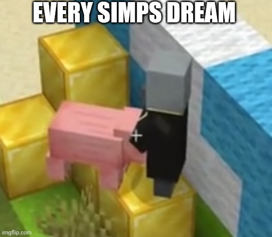 Pig giving evoker head | EVERY SIMPS DREAM | image tagged in pig giving pillager head | made w/ Imgflip meme maker