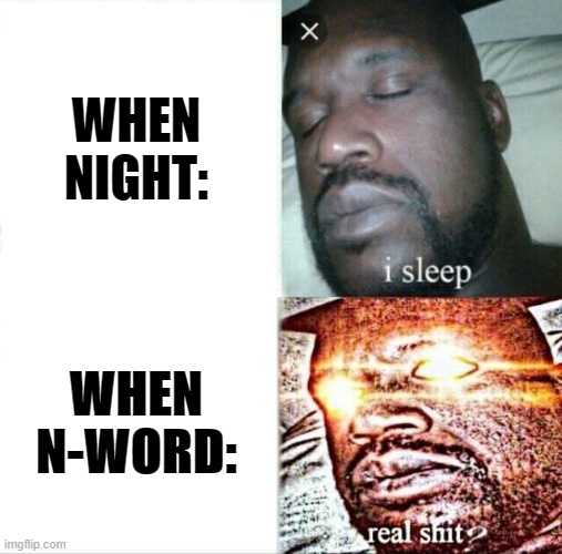 Sleeping Shaq | WHEN NIGHT:; WHEN N-WORD: | image tagged in memes,sleeping shaq | made w/ Imgflip meme maker