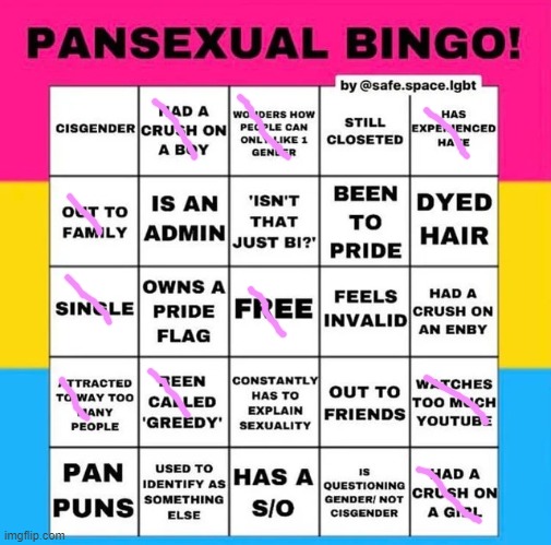 ψ(｀∇´)ψ YEAHHHHHHHHHHHHHHHHHHH BITCH | image tagged in pansexual bingo | made w/ Imgflip meme maker