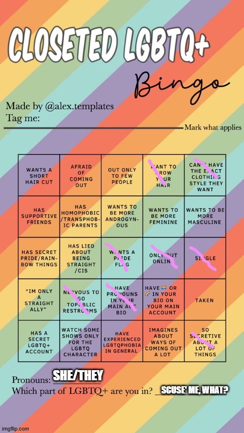 im losing mah sanity | SHE/THEY; SCUSE' ME, WHAT? | image tagged in closeted lgbtq bingo | made w/ Imgflip meme maker