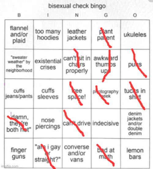 Bisexual Bingo | image tagged in bisexual bingo | made w/ Imgflip meme maker