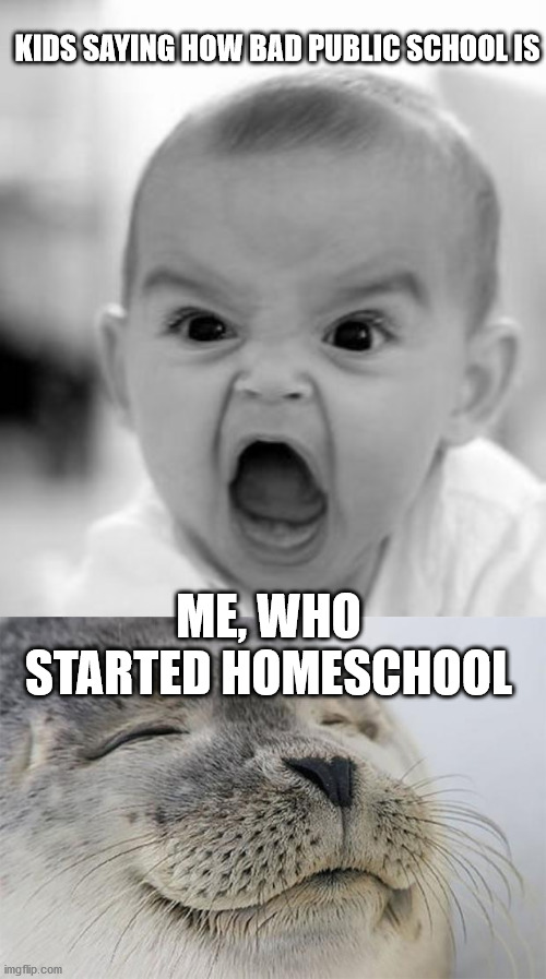 just watch homeschool anthem and you will know how I feel link:https://youtu.be/00WBjvPsVWQ | KIDS SAYING HOW BAD PUBLIC SCHOOL IS; ME, WHO STARTED HOMESCHOOL | image tagged in memes,angry baby,satisfied seal | made w/ Imgflip meme maker