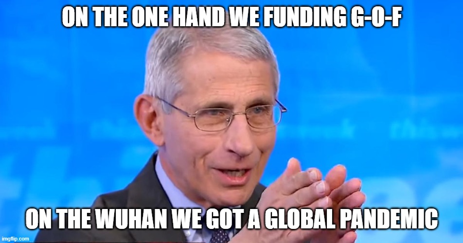 On the Other Hand | ON THE ONE HAND WE FUNDING G-O-F; ON THE WUHAN WE GOT A GLOBAL PANDEMIC | image tagged in dr fauci 2020 | made w/ Imgflip meme maker