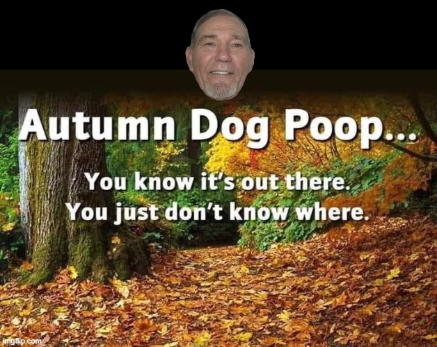 autumn dog poop | image tagged in dog poop,fall | made w/ Imgflip meme maker