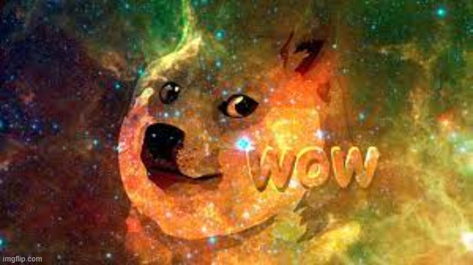 Doge Wow | image tagged in doge wow | made w/ Imgflip meme maker