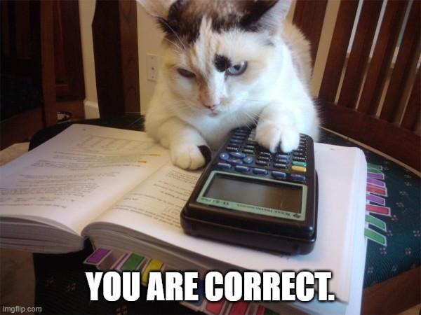 Math cat | YOU ARE CORRECT. | image tagged in math cat | made w/ Imgflip meme maker