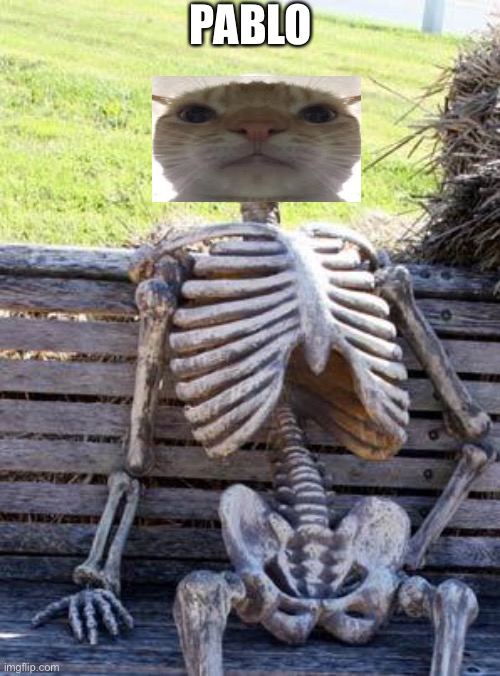 PABLO | PABLO | image tagged in memes,waiting skeleton,pablo why aren't we alive,your mom | made w/ Imgflip meme maker