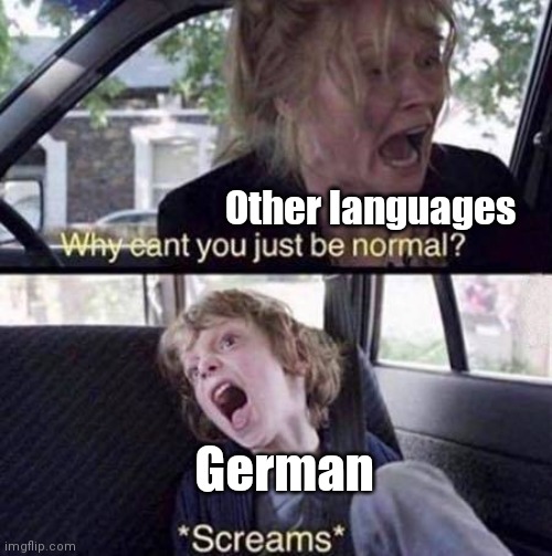 I think German is a weird language | Other languages; German | image tagged in why can't you just be normal | made w/ Imgflip meme maker